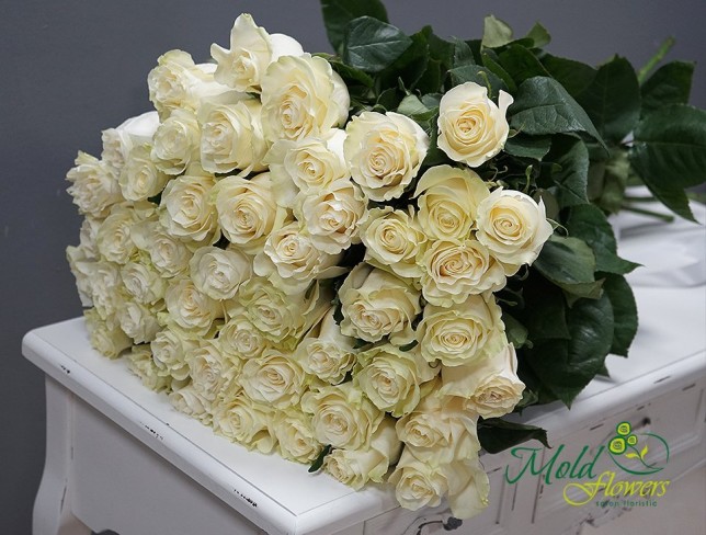 Роза белая голландская премиум 80-90 см Фото